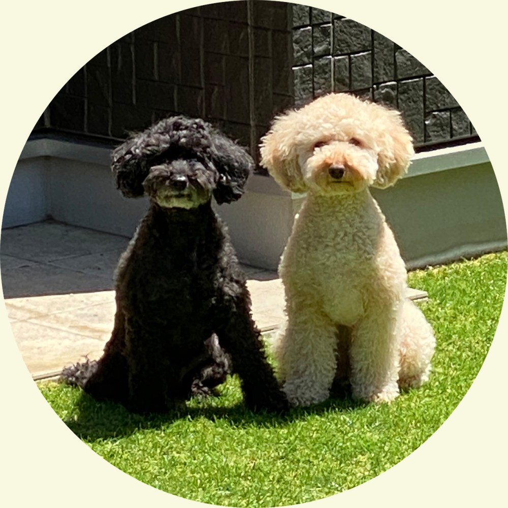 ヨガスタジオマル