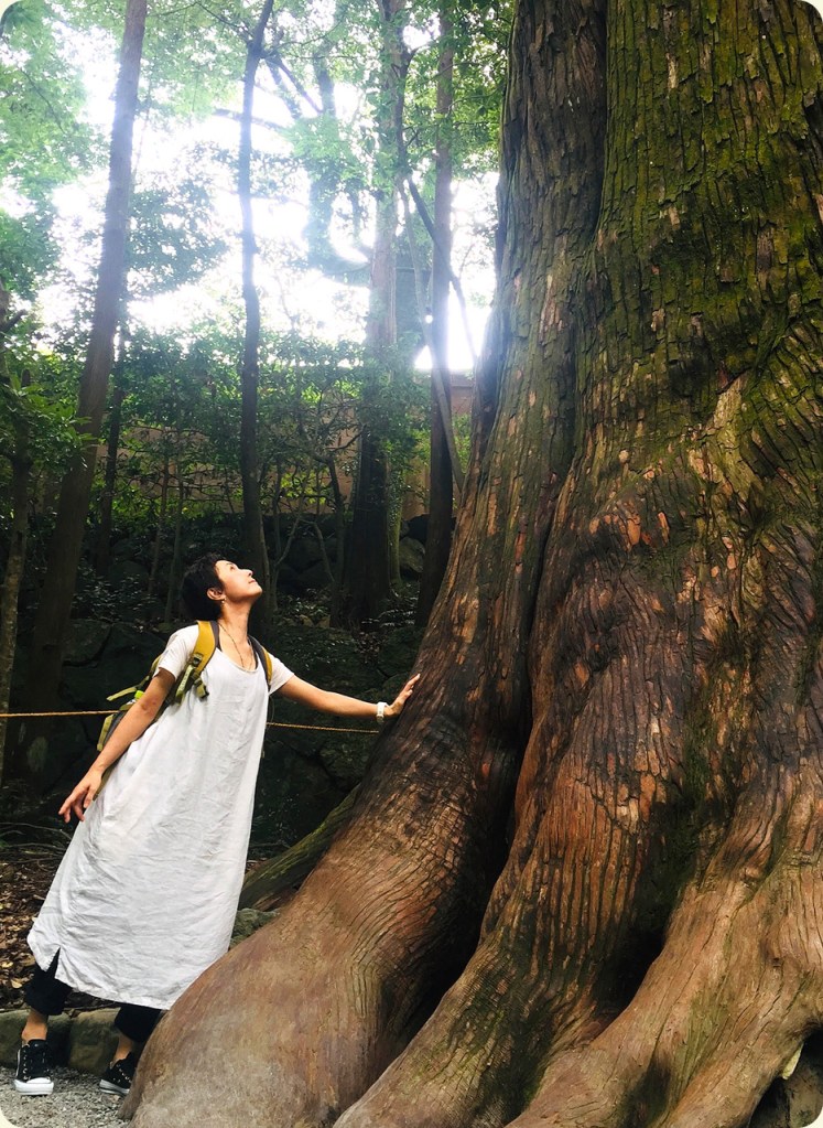 ヨガスタジオマル